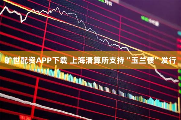 旷世配资APP下载 上海清算所支持“玉兰债”发行